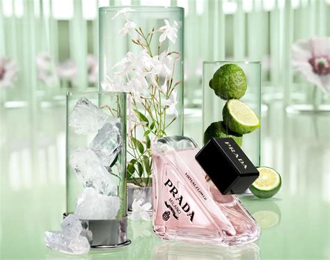 prada parfum kruidvat|prada paradoxe virtual floral perfume.